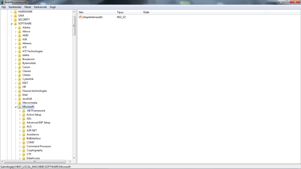 HKEY_LOCAL_MACHINE_SOFTWARE_MICROSOFT
